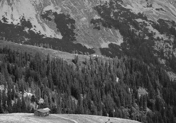 KONICA MINOLTA DIGITAL CAMERA